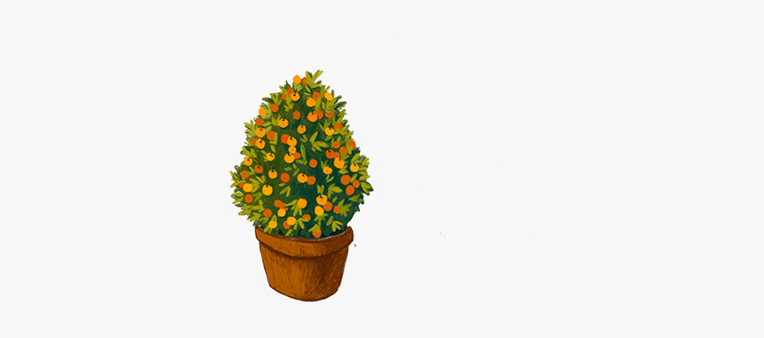 Flowerpot, HD Png Download, Free Download