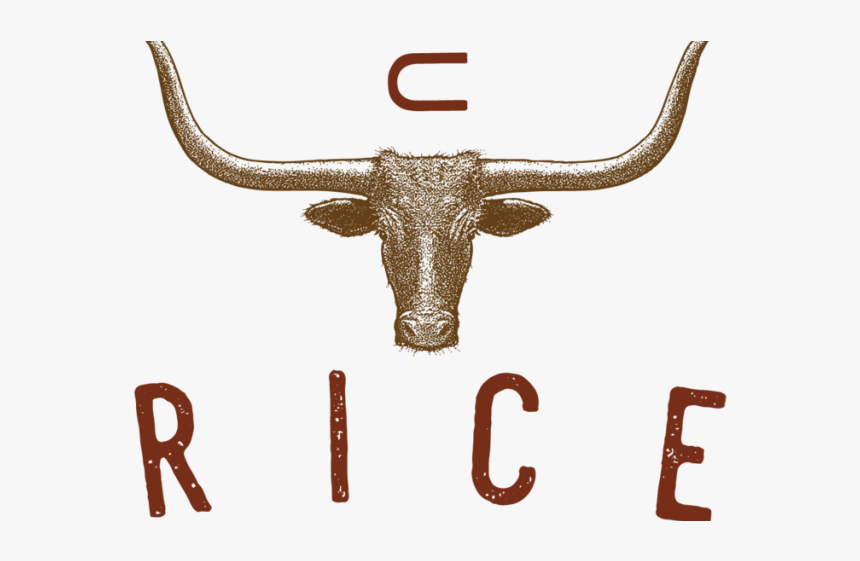 Texas Longhorn Vector, HD Png Download, Free Download