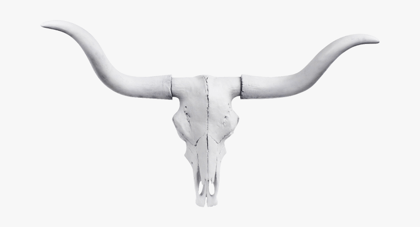 Longhorn Bull Skull, HD Png Download, Free Download