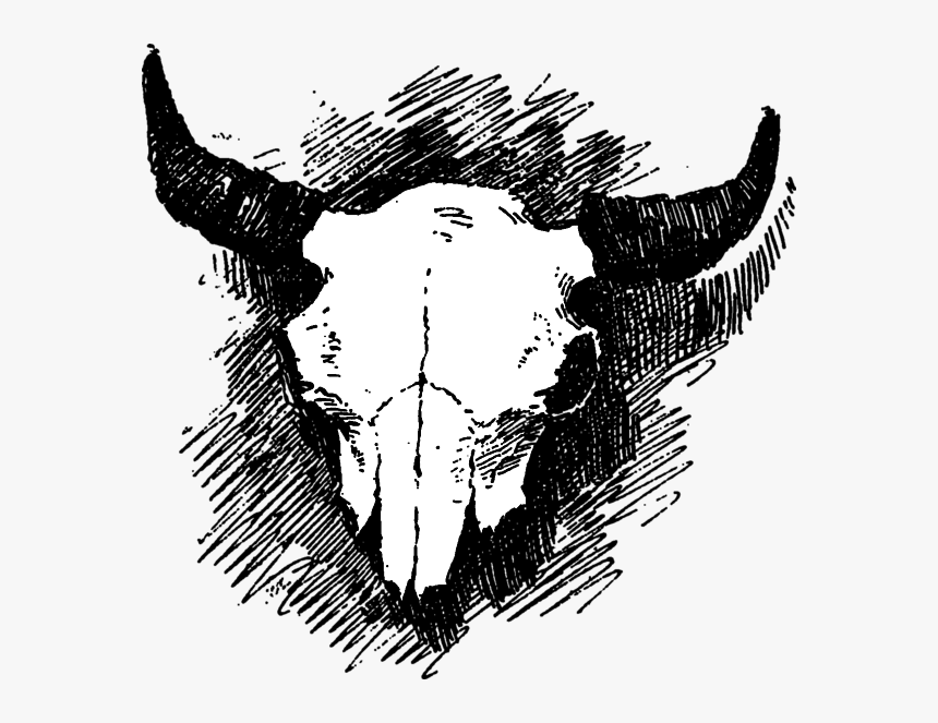 Longhorn Skull Png, Transparent Png, Free Download