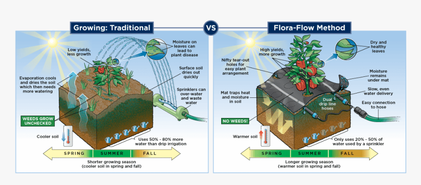 Diagram, HD Png Download, Free Download