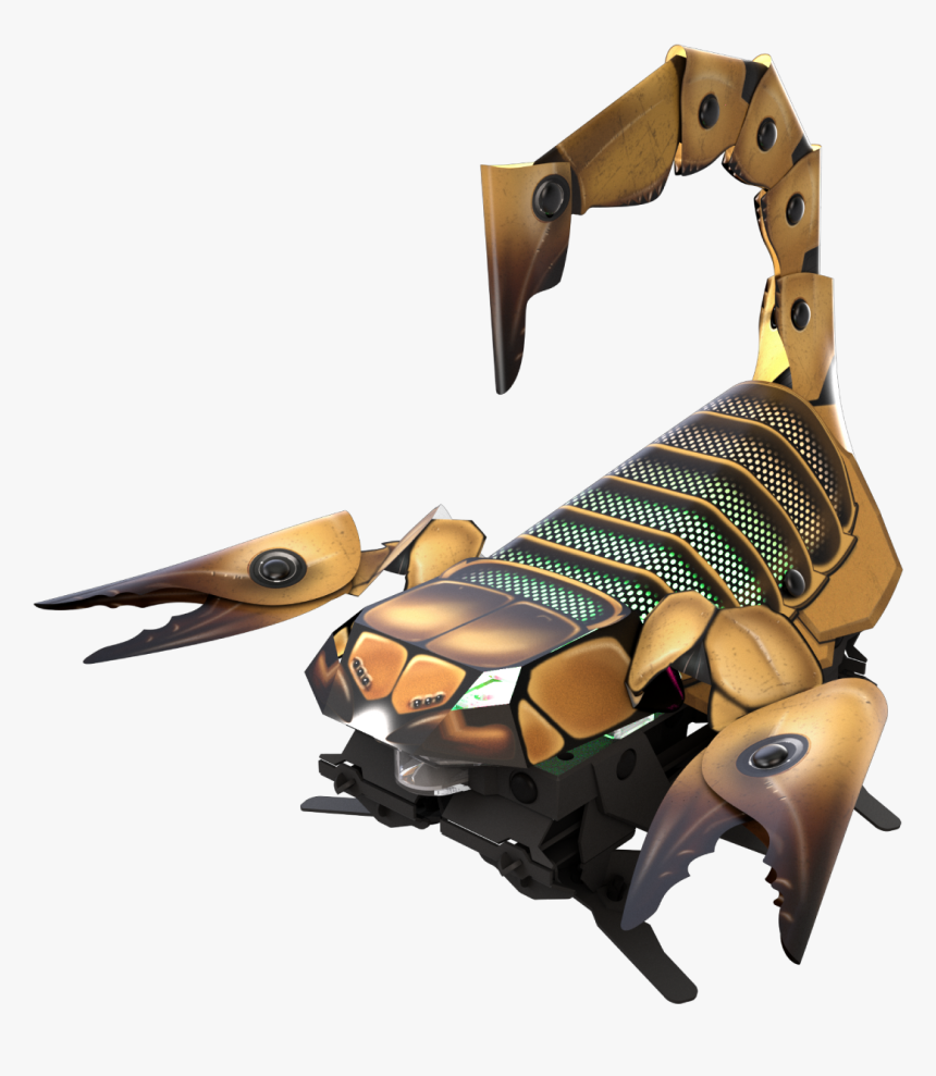 Beetle Drawing Robot, HD Png Download, Free Download