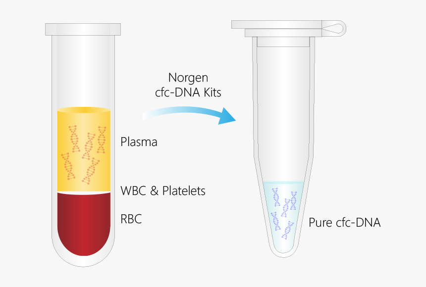 Norgen Cfc-dna Purification - Plasma Cell Free Dna, HD Png Download, Free Download