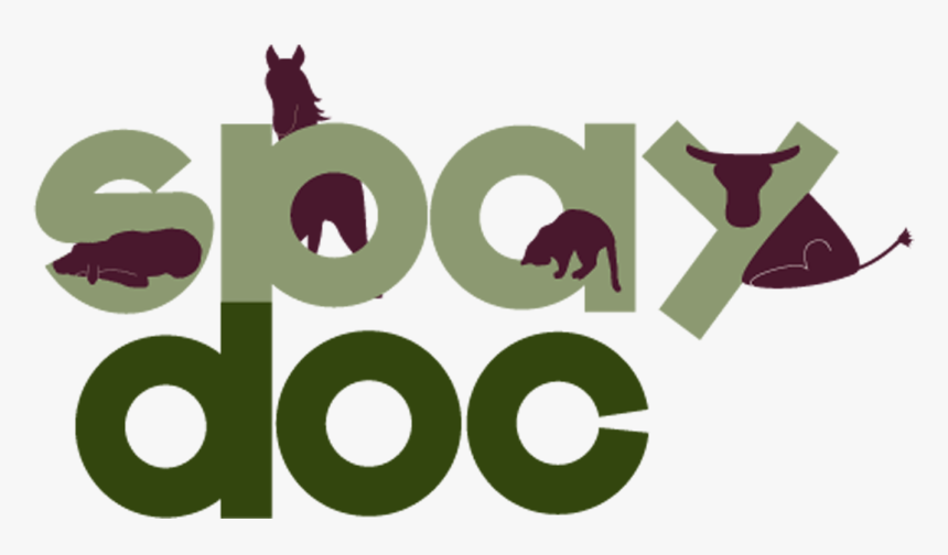 Spaydoc Is A Low Cost Spay Neuter - Illustration, HD Png Download, Free Download