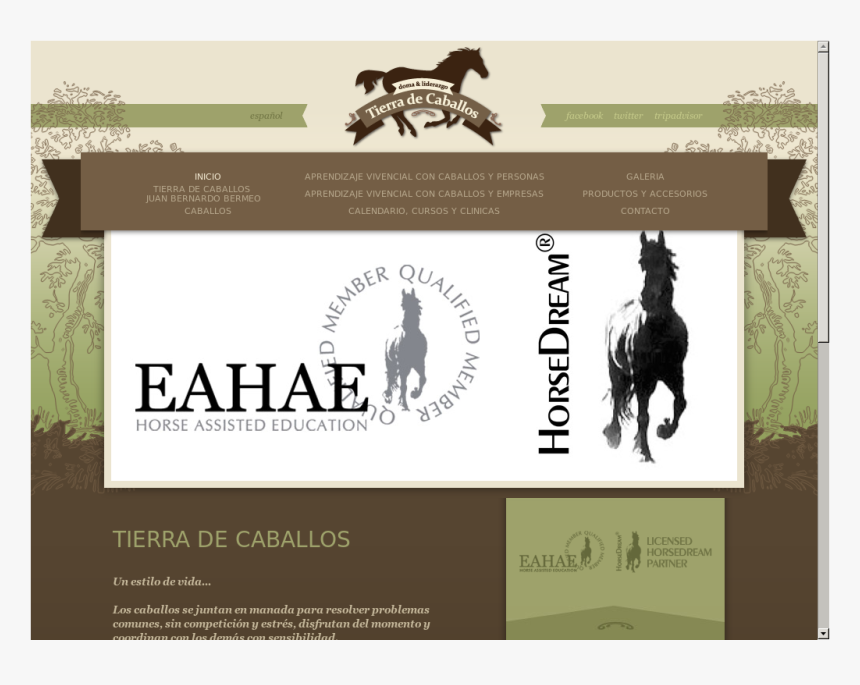 Eahae, HD Png Download, Free Download