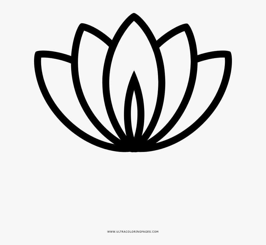 Flor De Loto Página Para Colorear - Water Lily Logo Png, Transparent Png, Free Download