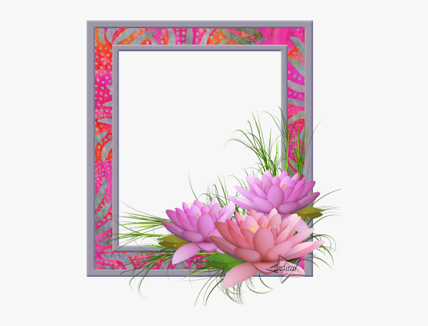 Flor De Loto 216551loto2 - Picture Frame, HD Png Download, Free Download