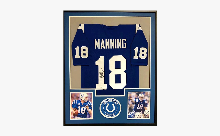 Peyton Manning 2010, HD Png Download - kindpng