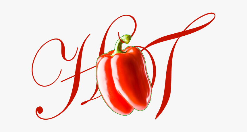 Hot Girl Tee - Plum Tomato, HD Png Download, Free Download