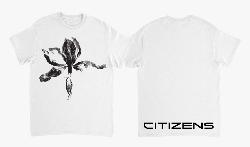 Tee Png, Transparent Png, Free Download