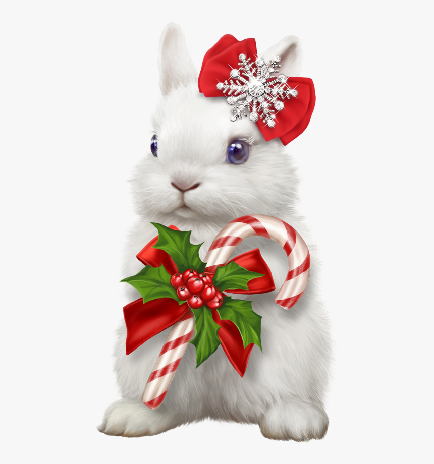 Clipart Christmas Bunny, HD Png Download, Free Download