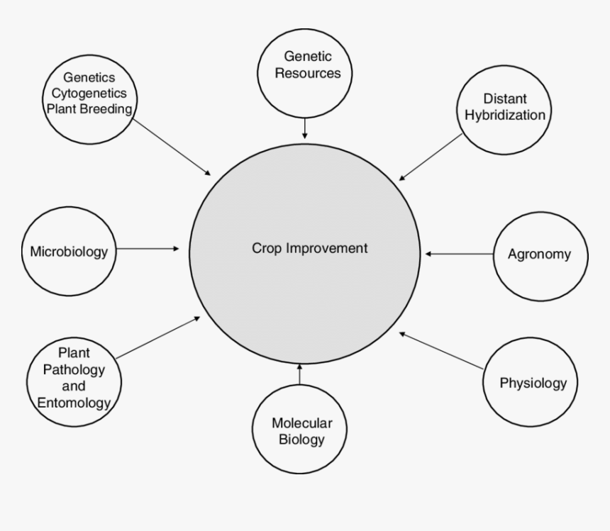 Multidisciplinary Nature Of Plant Breeding, HD Png Download, Free Download