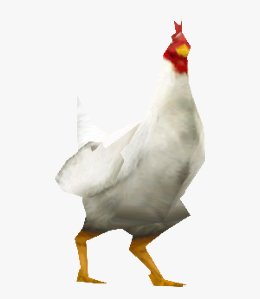 Chicken, HD Png Download, Free Download