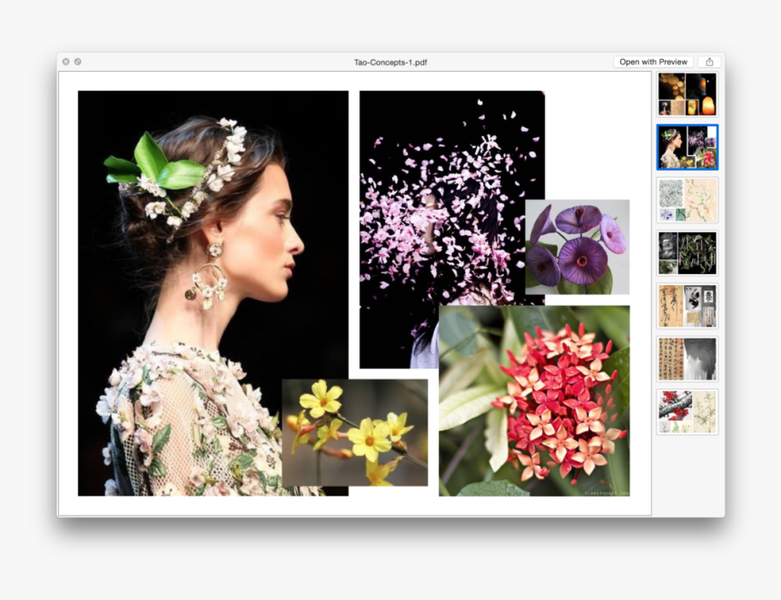 Screen Shot 2014 11 09 At - Dolce & Gabbana, HD Png Download, Free Download