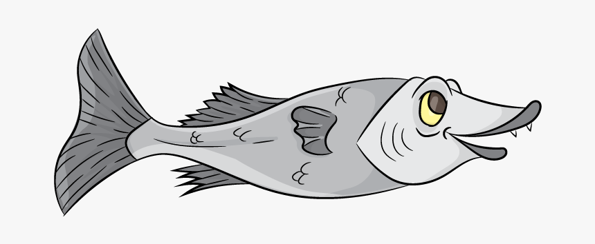 6 Years Old And Up - Ray-finned Fish, HD Png Download, Free Download