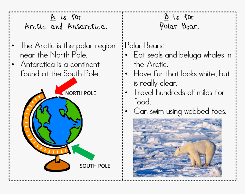 Polar Region In Social, HD Png Download, Free Download