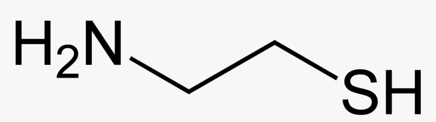 Cysteamine 2d Skeletal - Amino Acid, HD Png Download, Free Download