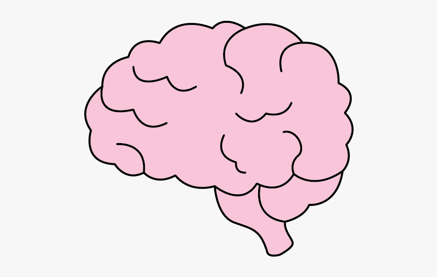 Brain, HD Png Download, Free Download