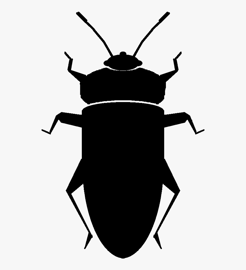 Weevil, HD Png Download, Free Download