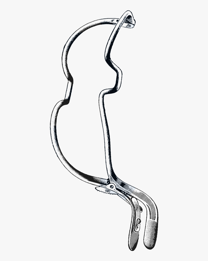 Jennings Mouth Gag, Large, - Line Art, HD Png Download, Free Download