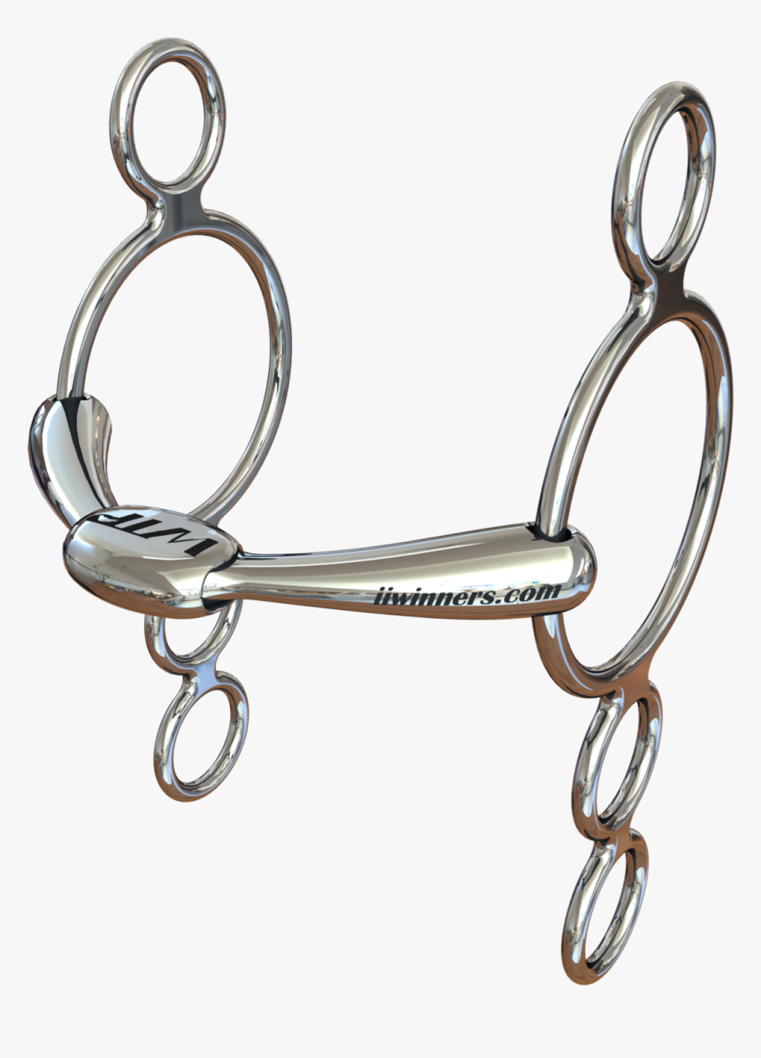 Horse Bit Emporium"
 Class="lazyload Lazyload Fade - Wtp Bit, HD Png Download, Free Download