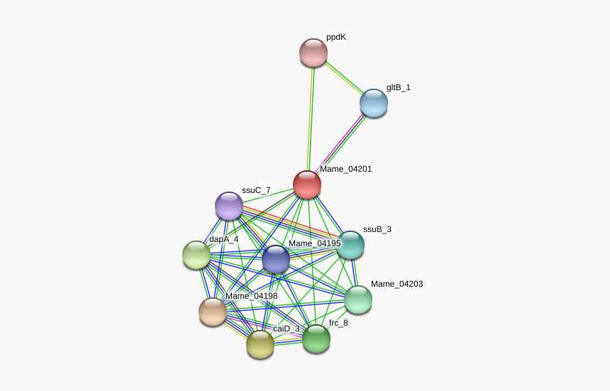 Mame 04201 Protein - Circle, HD Png Download, Free Download