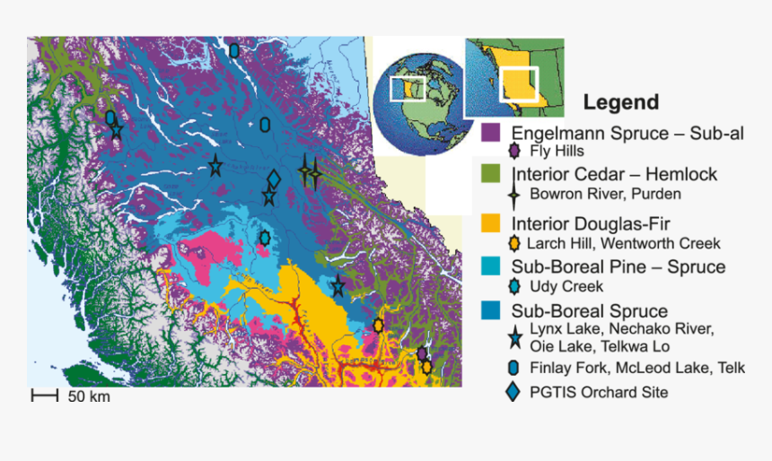 Biogeoclimatic Zones Interior Bc, HD Png Download, Free Download