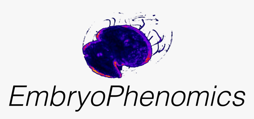 Izimobil, HD Png Download, Free Download