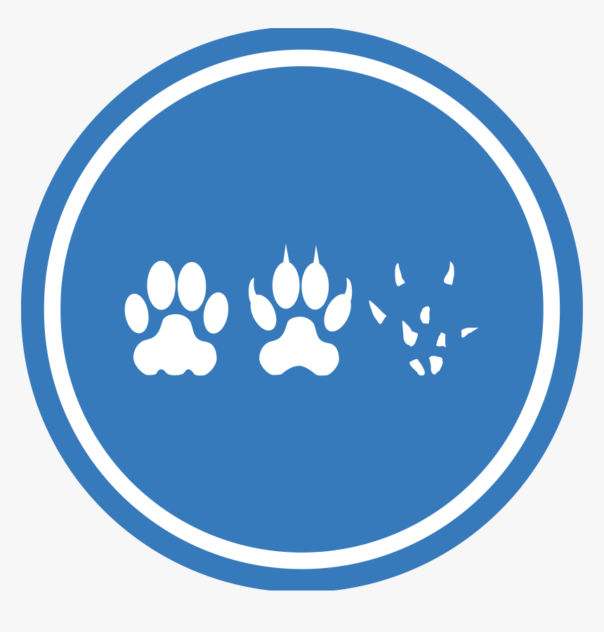 This Free Icons Png Design Of Cat Dog Mouse Unification - Maks, Transparent Png, Free Download