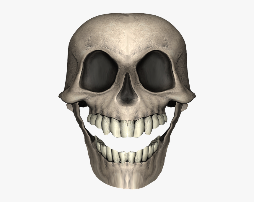 Skull, HD Png Download, Free Download