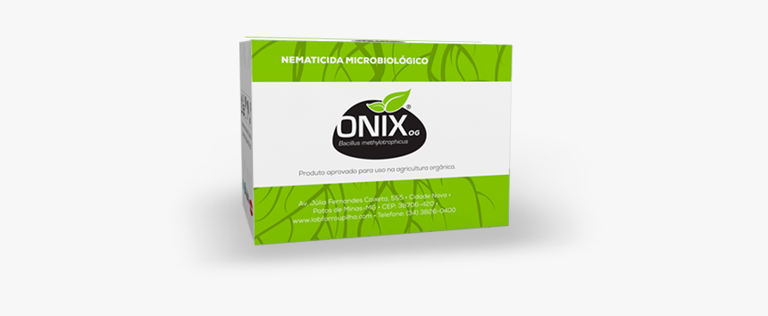 Graphic Design, HD Png Download, Free Download