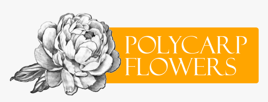 Summit, Nj Florist - Peony Clipart Black And White, HD Png Download, Free Download