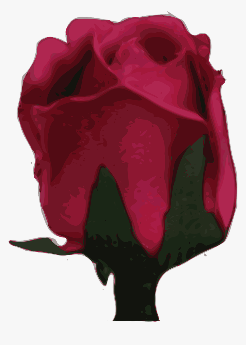 Rose, HD Png Download, Free Download