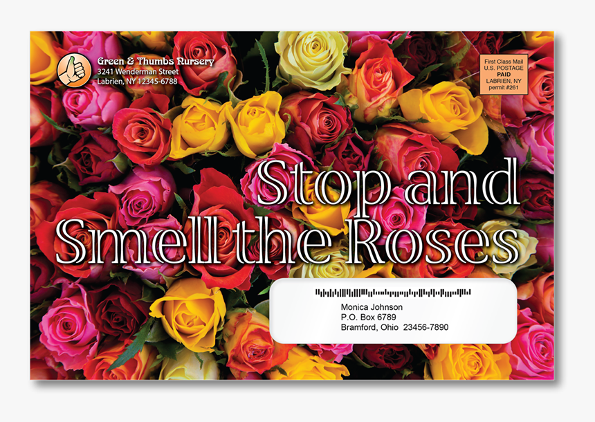 Roses Background, HD Png Download, Free Download