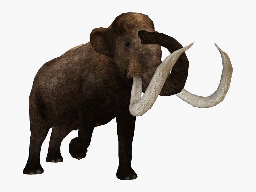 Indian Elephant, HD Png Download, Free Download