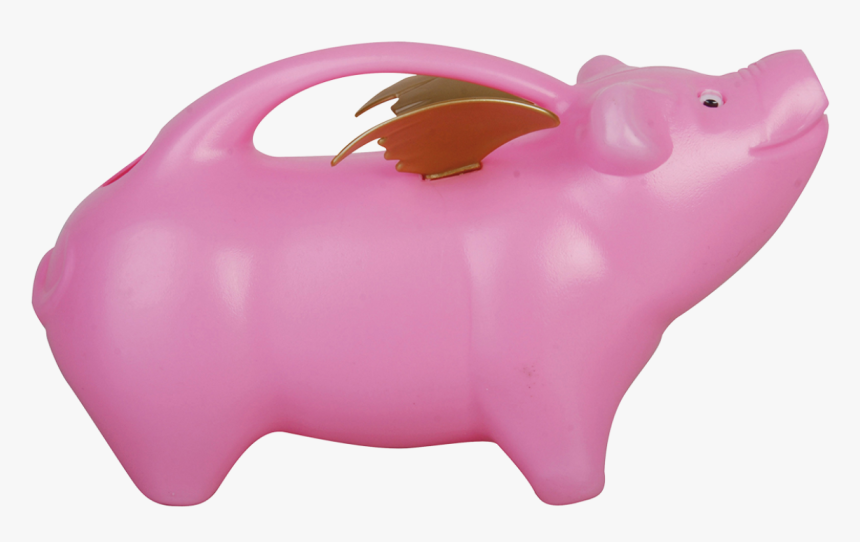 Flying Pig Watering Can - Gieter Varken, HD Png Download, Free Download