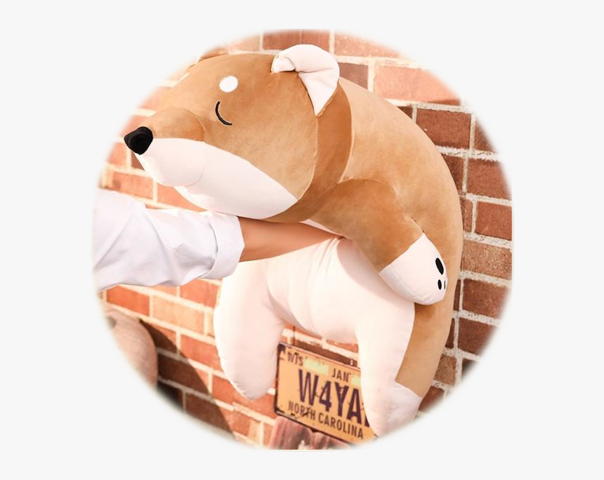Cookies Cake - Shiba Inu, HD Png Download, Free Download