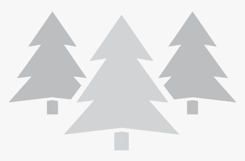 Trees - Christmas Tree, HD Png Download, Free Download