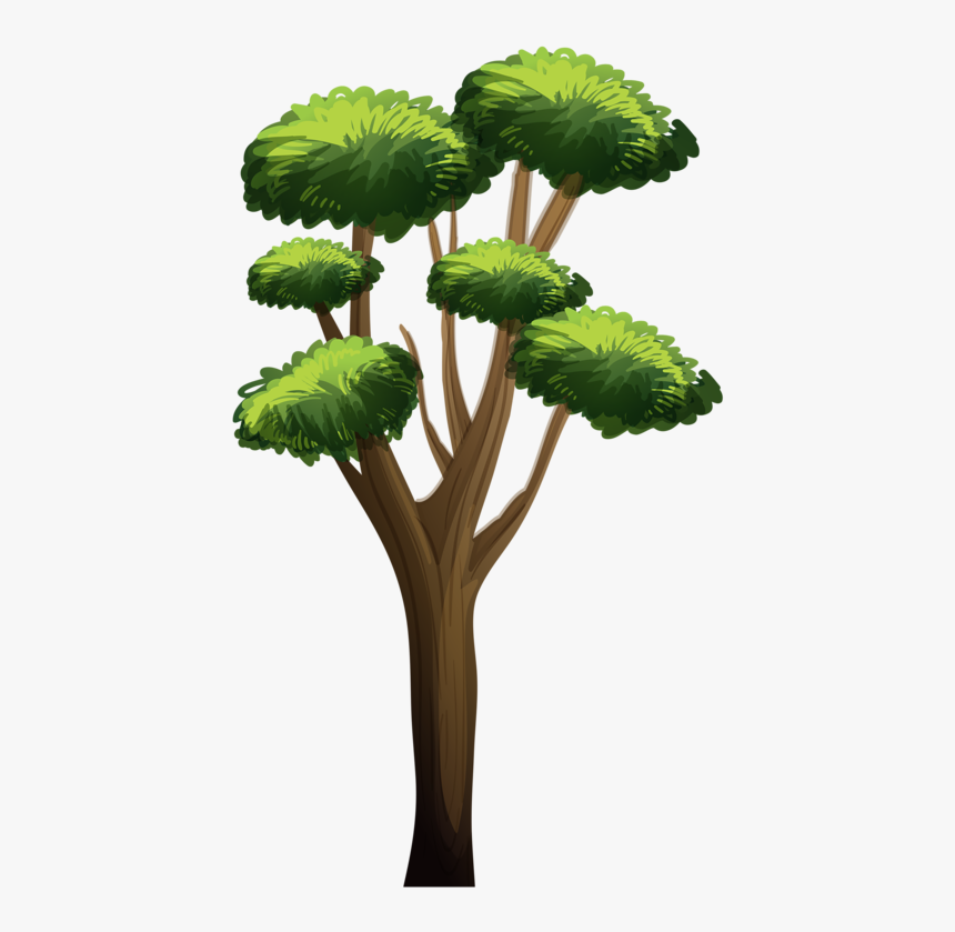 Tree, HD Png Download, Free Download