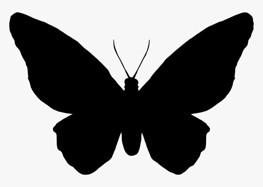 Papillon Pictogramme , Png Download - Scalable Vector Graphics ...