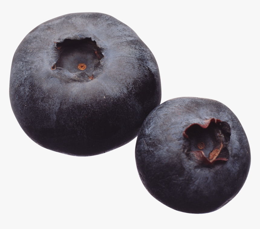 Blueberry - Arandanos, HD Png Download, Free Download