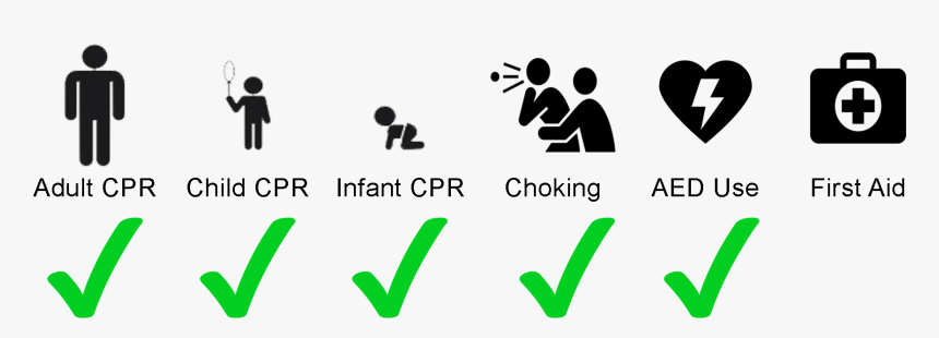 This American Heart Association Course Is Designed - Adult Child Infant Icons, HD Png Download, Free Download