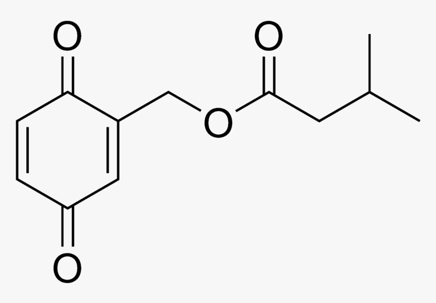 Molecular Weight Of Phthalic Acid, HD Png Download, Free Download
