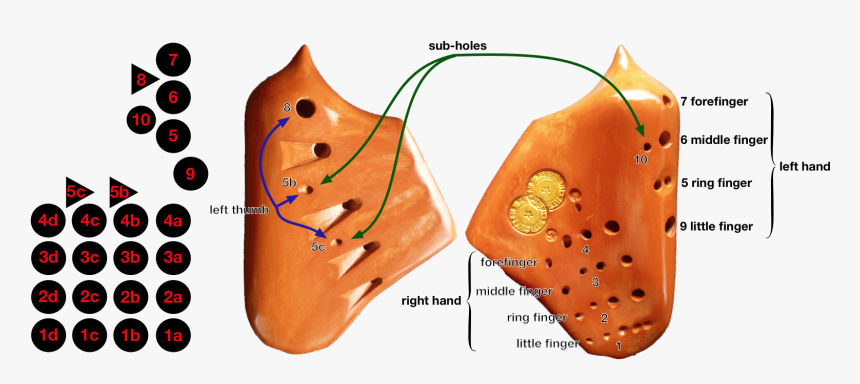 Triple Chamber Ocarina Fingering, HD Png Download, Free Download