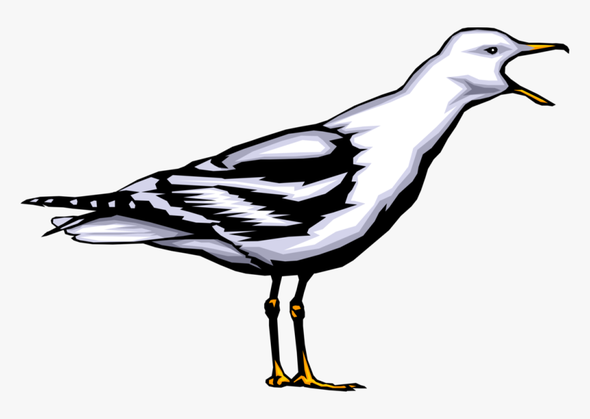 Vector Illustration Of Seabird Gull Bird Or Seagull - Bad Luck To Kill A Seabird, HD Png Download, Free Download