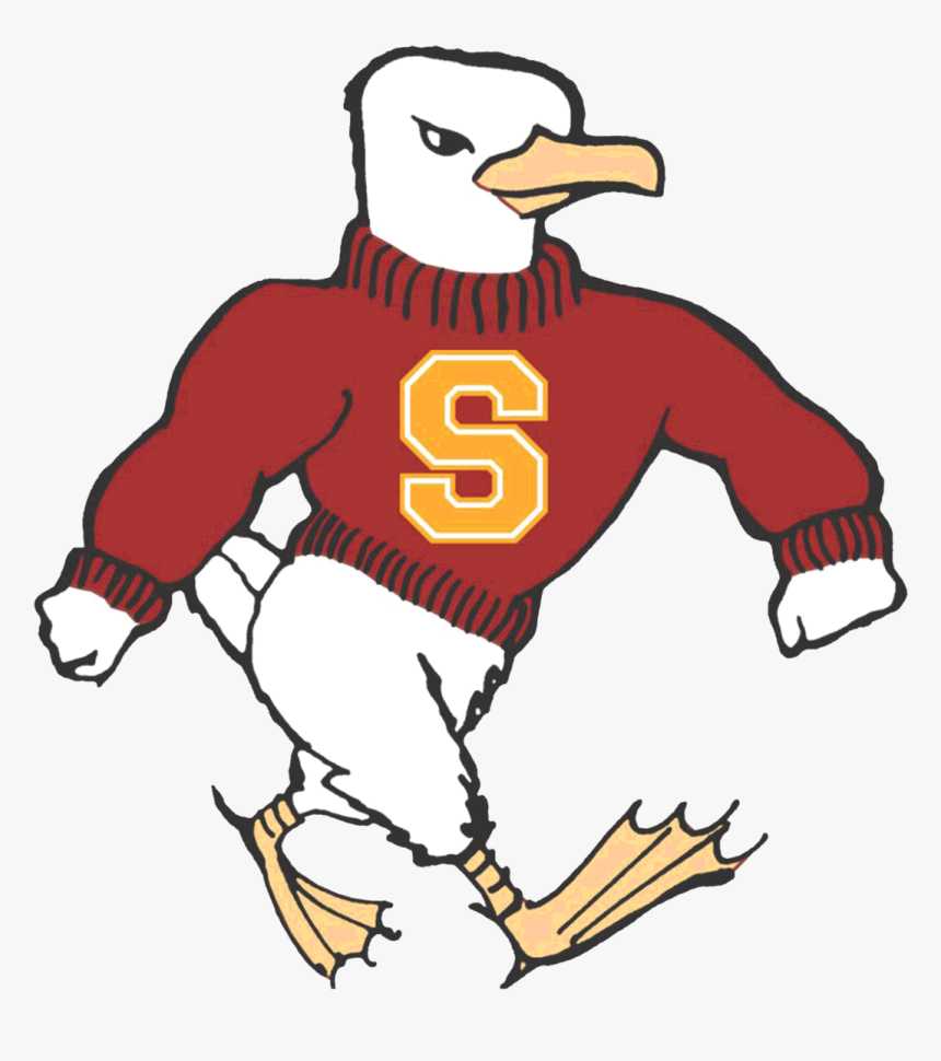 Sea Gull Png, Transparent Png, Free Download