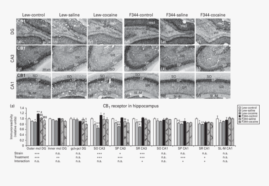 Monochrome, HD Png Download, Free Download