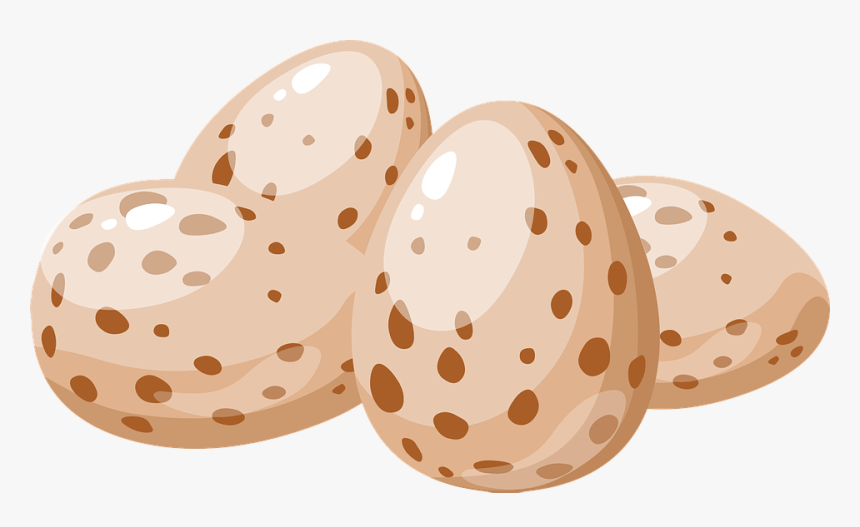 Transparent Huevos Png - Bird Egg Clipart, Png Download - kindpng