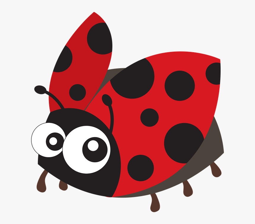 Minus Ladybugs, Animais - Ladybug, HD Png Download, Free Download