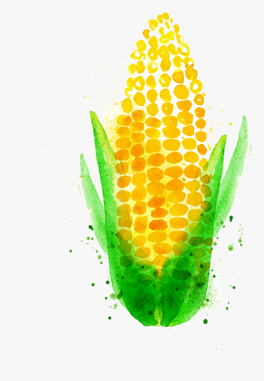 Chili Con Carne Watercolor Painting Maize Vegetable - Watercolor Corn Png, Transparent Png, Free Download